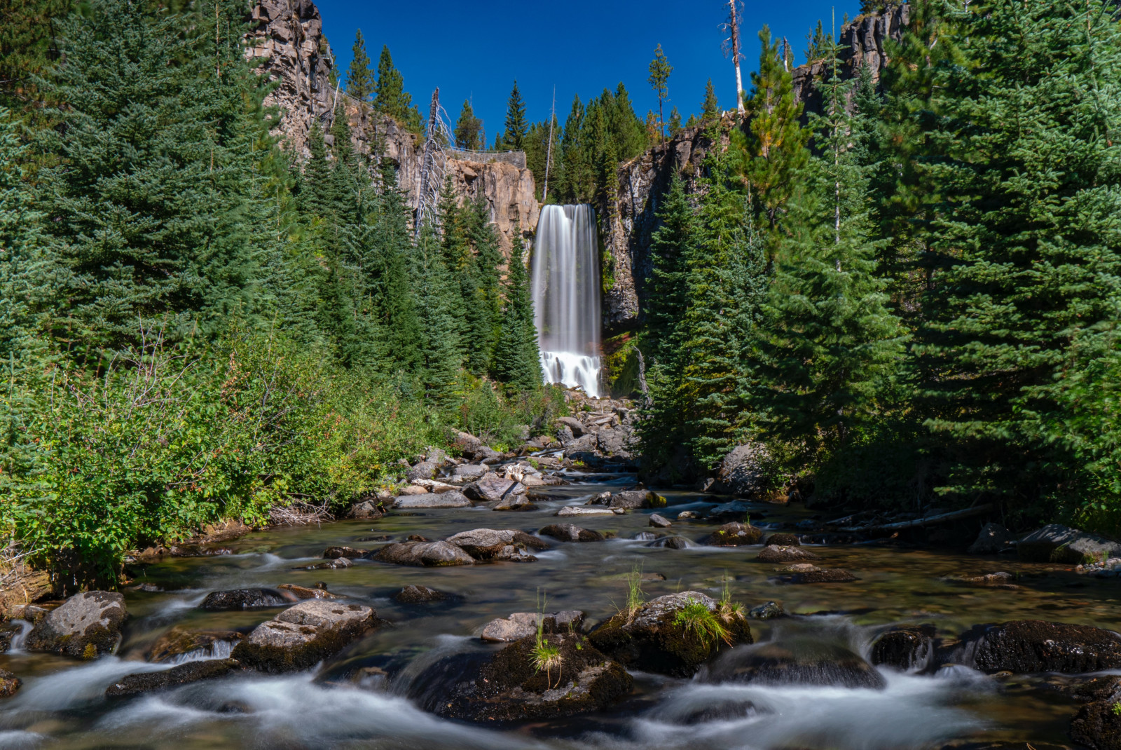 Waterfall surrounded by green trees along the river with a blue sky