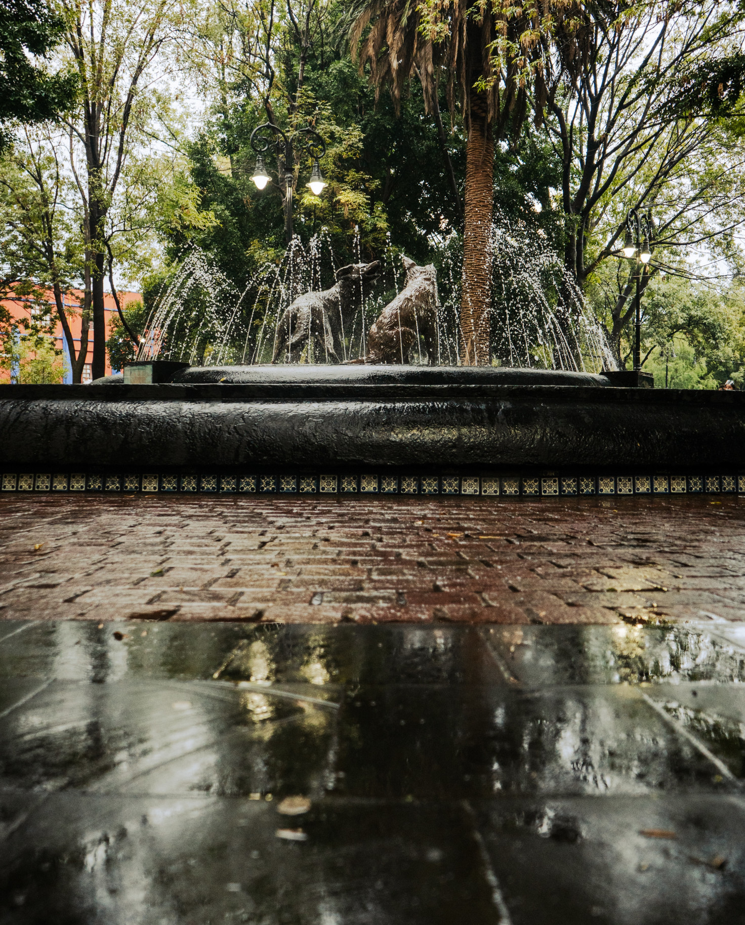 A beautiful fountain flanked by a lush park in Mexico City. 