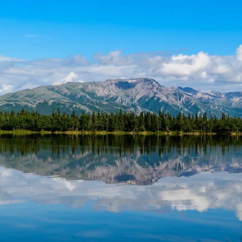 Mountain and trees in front of clear lake reflected.