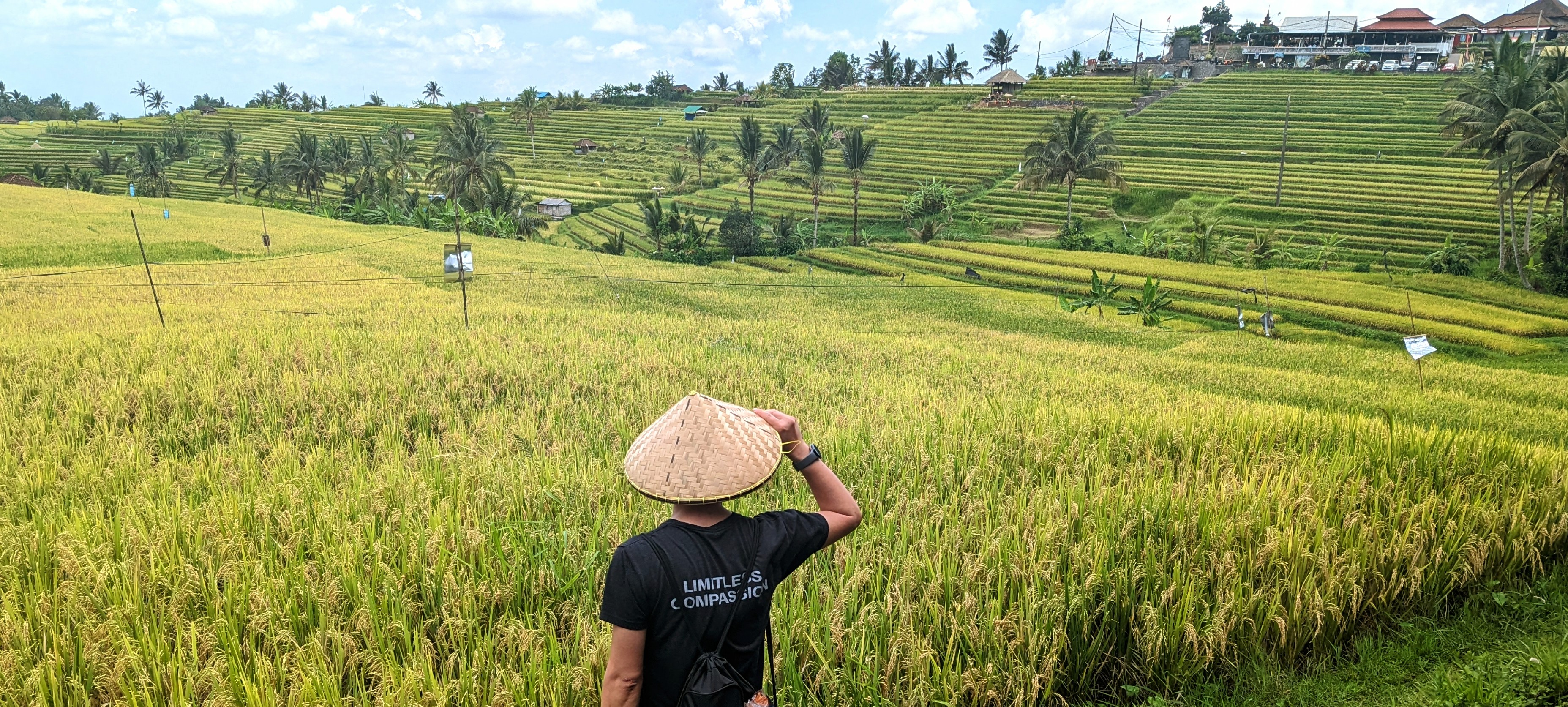 hoang-nguyen-fora-travel