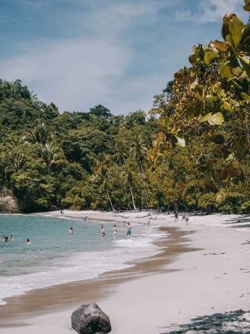 people swimming in a beach surrounded by trees in Costa Rica in December