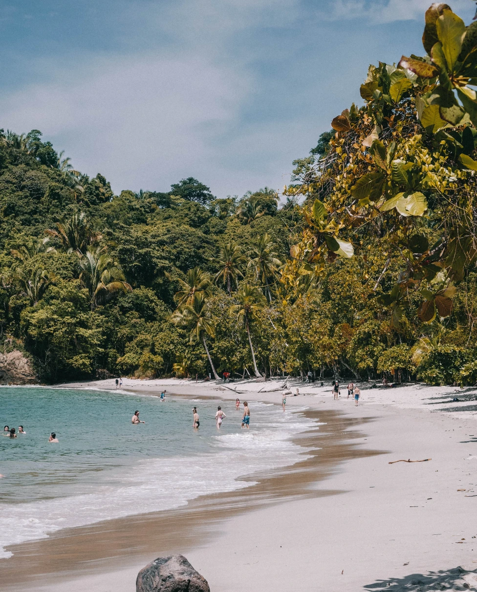 people swimming in a beach surrounded by trees in Costa Rica in December