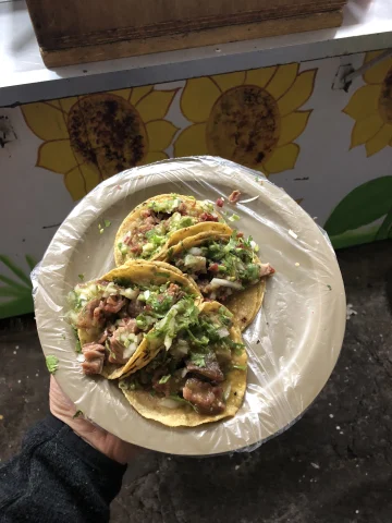 A plate of four traditional tacos