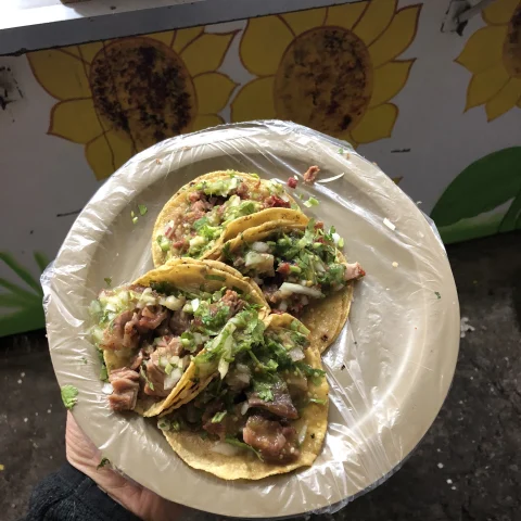 A plate of four traditional tacos