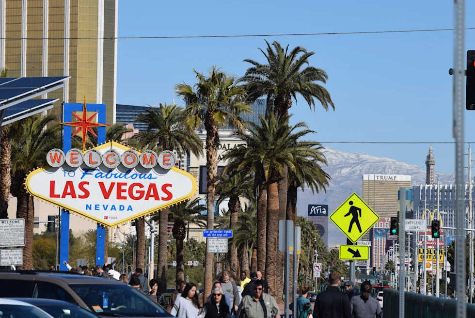 white sign next to palm trees during daytime