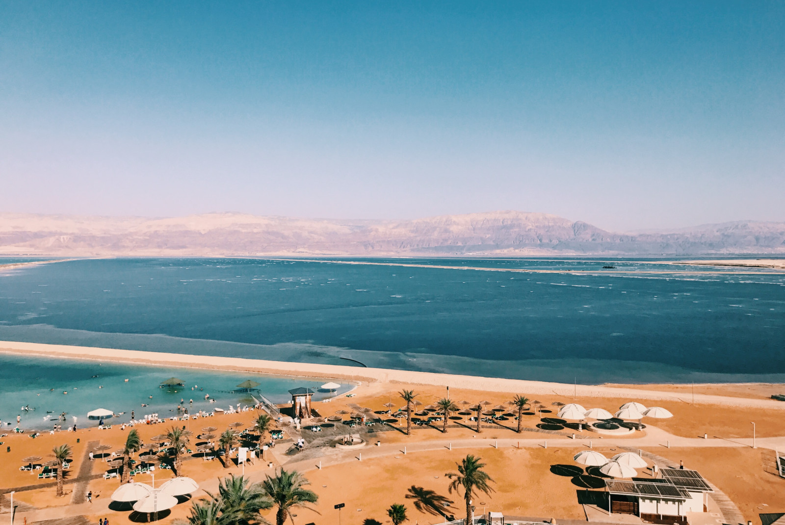 Body of water with palm trees on a sunny day