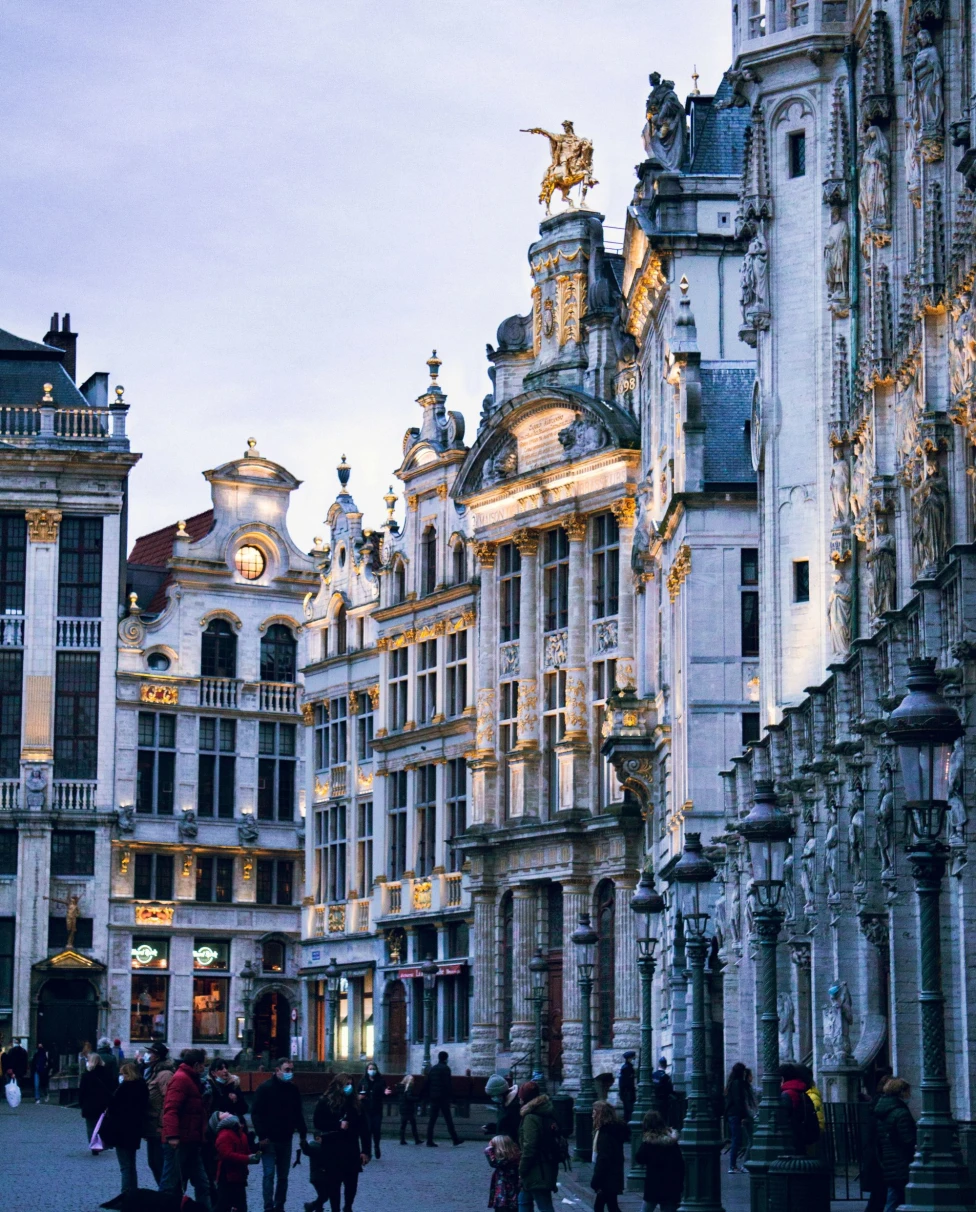 ornate buildings in city at sunset