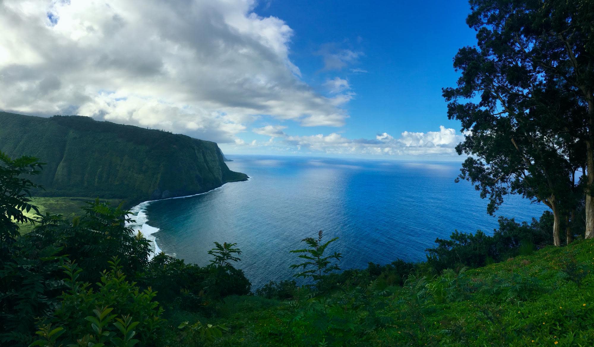 where-to-stay-on-the-big-island-hamakua-coast