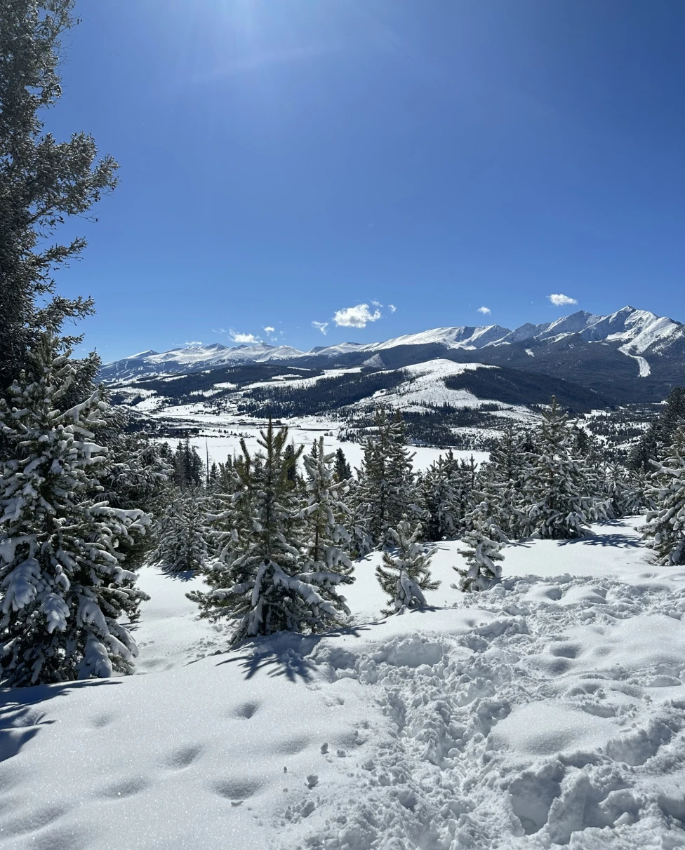 A picture of a scenery where the ground and mountains are covered with snow and tall trees during daytime.