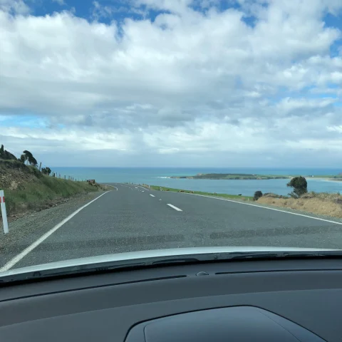 car view of a road in new zealand