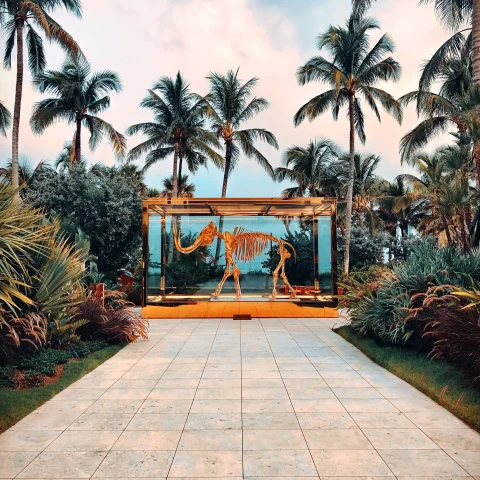 art display next to palm trees with blue skies