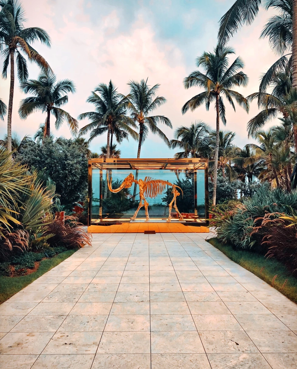 art display next to palm trees with blue skies