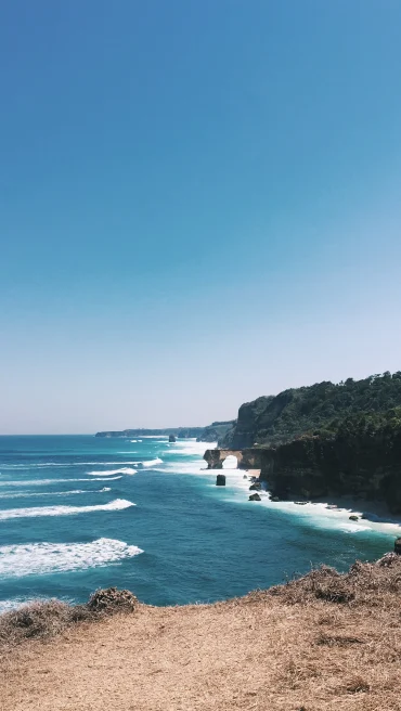 Oceanside cliff with tan dirt in Sumba, Indonesia with blue water and white surf along lush green forest.