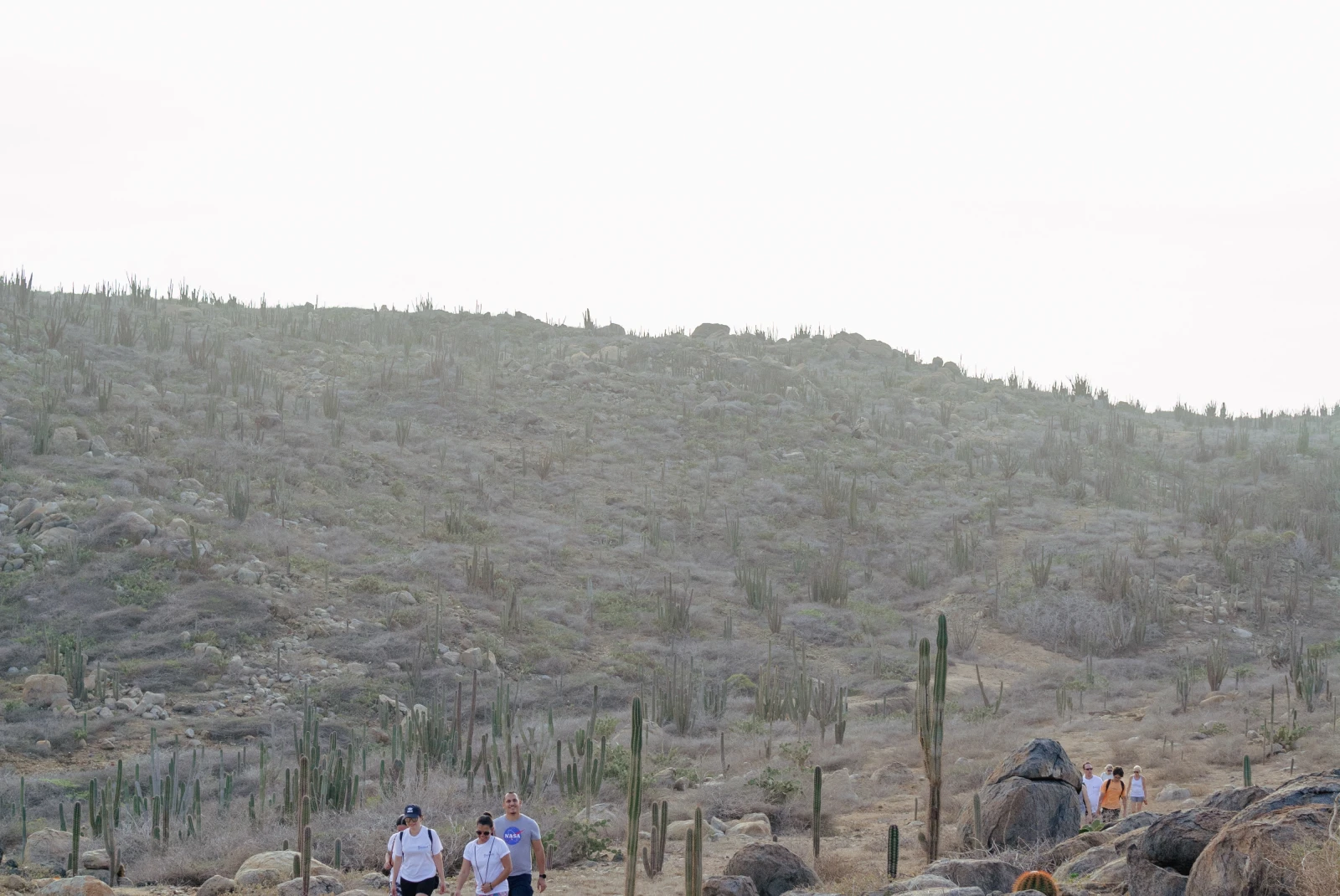 Group of people hike amongst cacti in Aruba