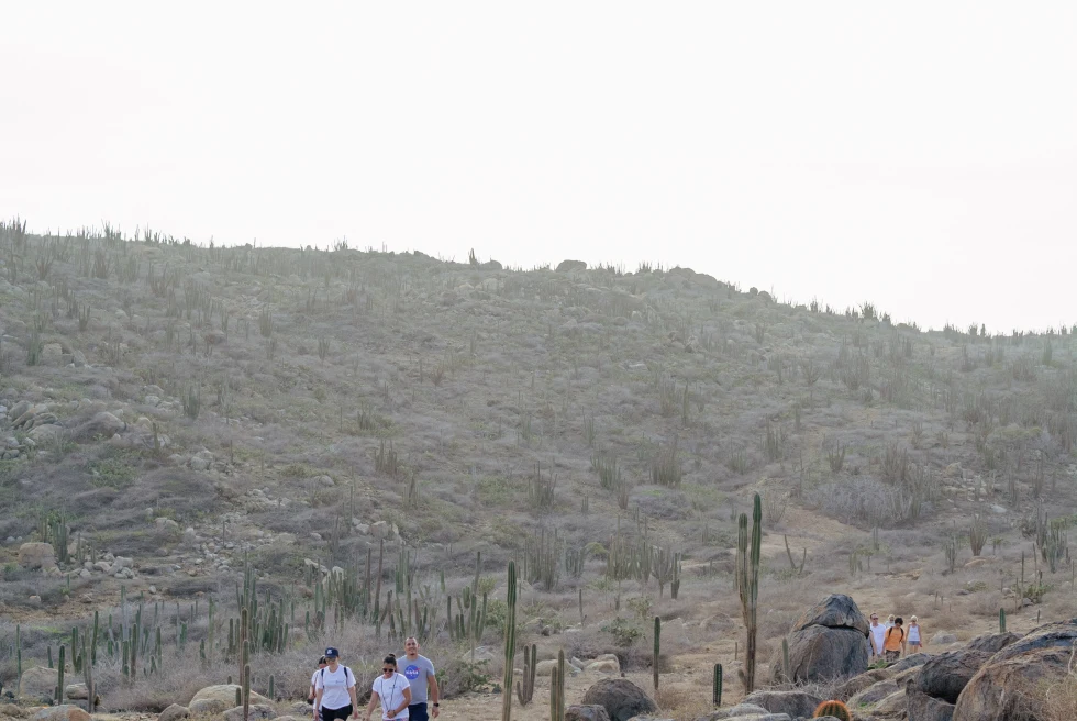 Group of people hike amongst cacti in Aruba