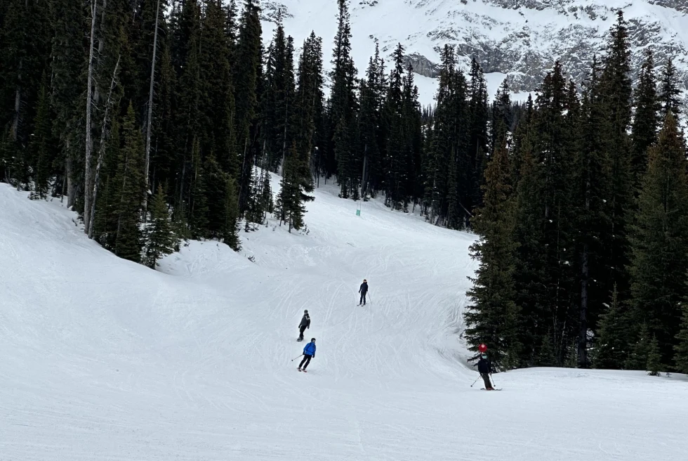 ski mountain with 3 skiiers