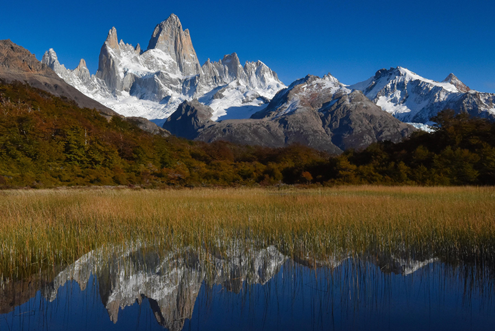 An Adventurer’s 8-Day Guide to Argentina - Day 7: Day in El Chalten