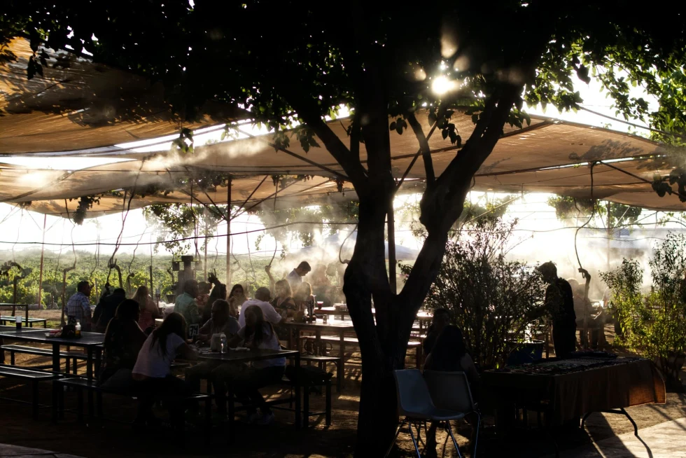 a restaurant in trees with sun glistening through