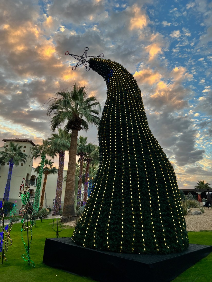 A beautiful curvy Christmas tree at dusk with palm trees in the distance 