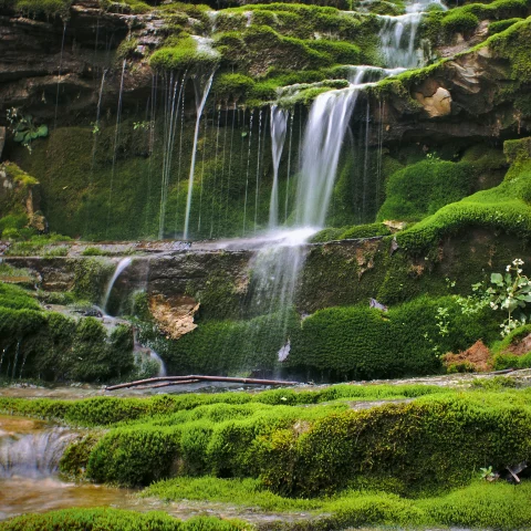 A waterfall in a green landscape in Kentucky. 