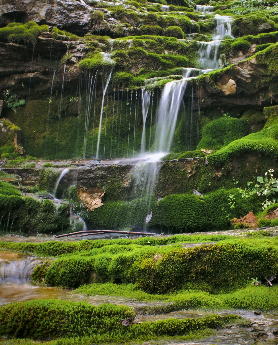 A waterfall in a green landscape in Kentucky. 