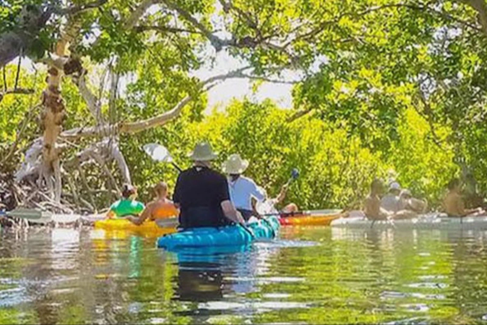 Eco-kayaking in the mangroves is one of the attractions in Key West.