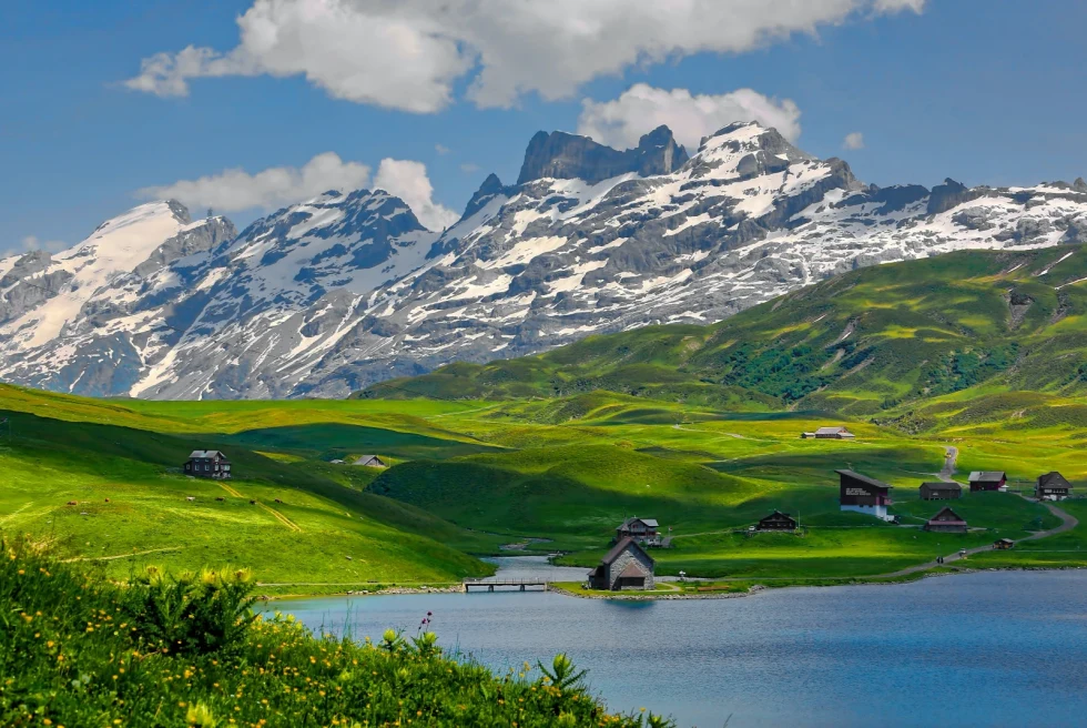 A lake with green meadow and snow covered mountains at the back. 