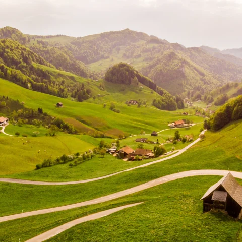 Little houses at a meadow.  