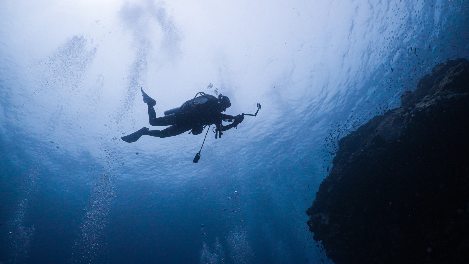 Best Diving Destinations Around the World by Month - Best Diving Destinations by Month