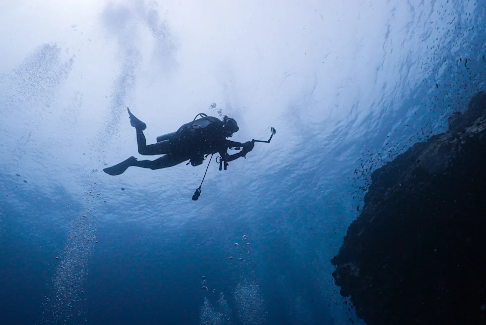 Best Diving Destinations Around the World by Month - Best Diving Destinations by Month