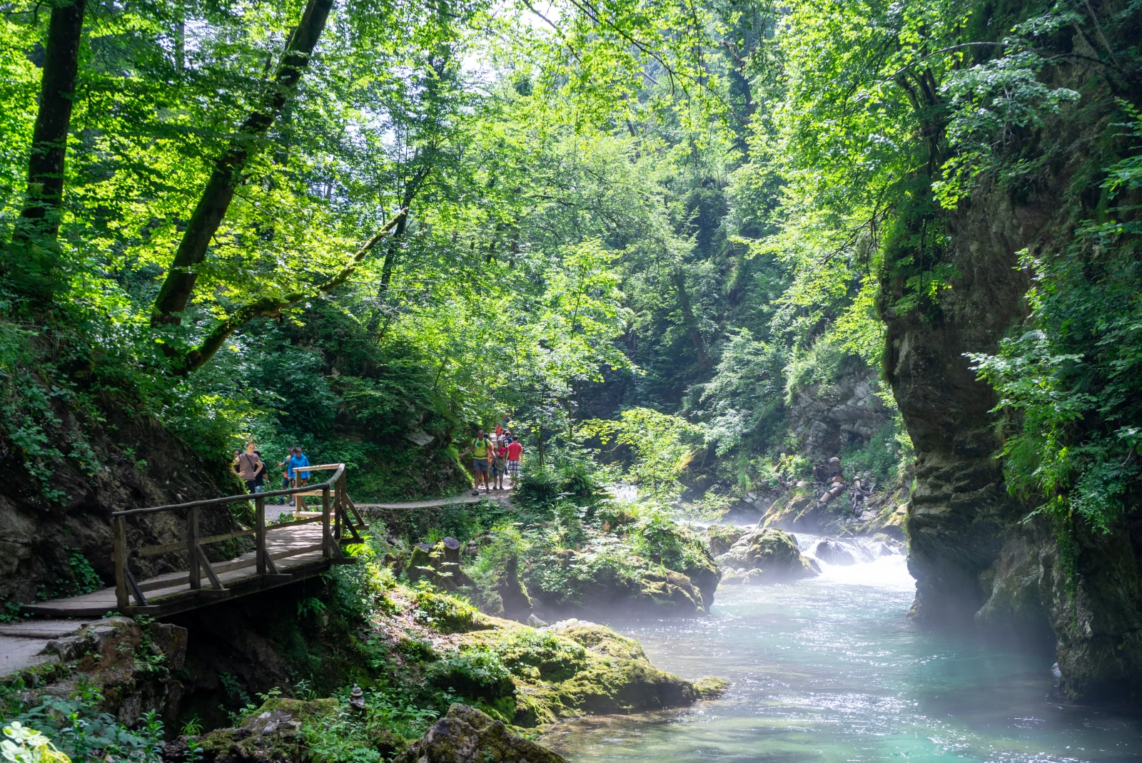 Waterfalls and gorge pathways across a verdant forest in Slovenia. 