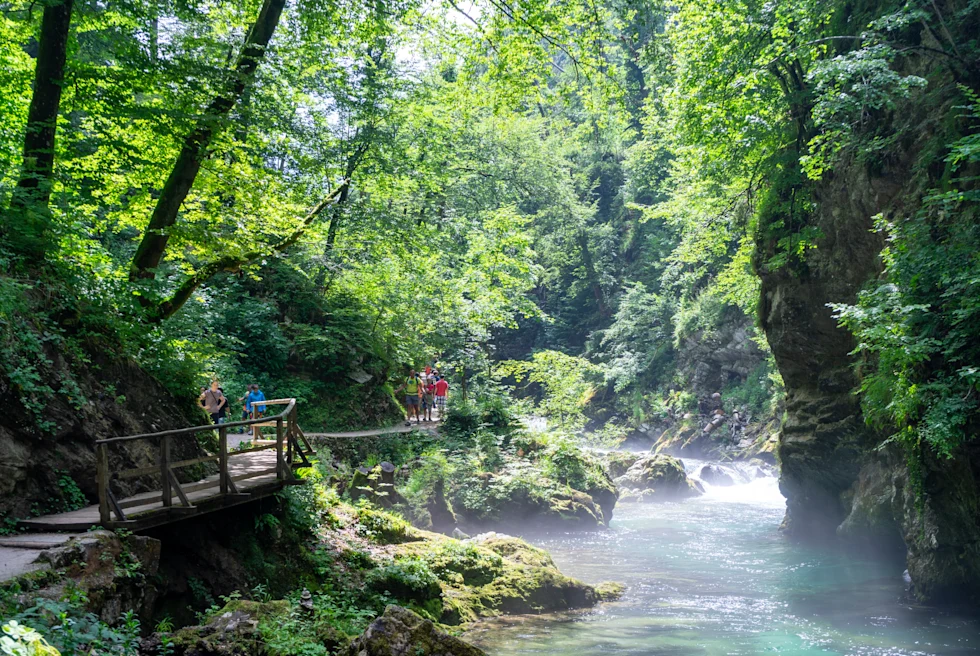 Waterfalls and gorge pathways across a verdant forest in Slovenia.