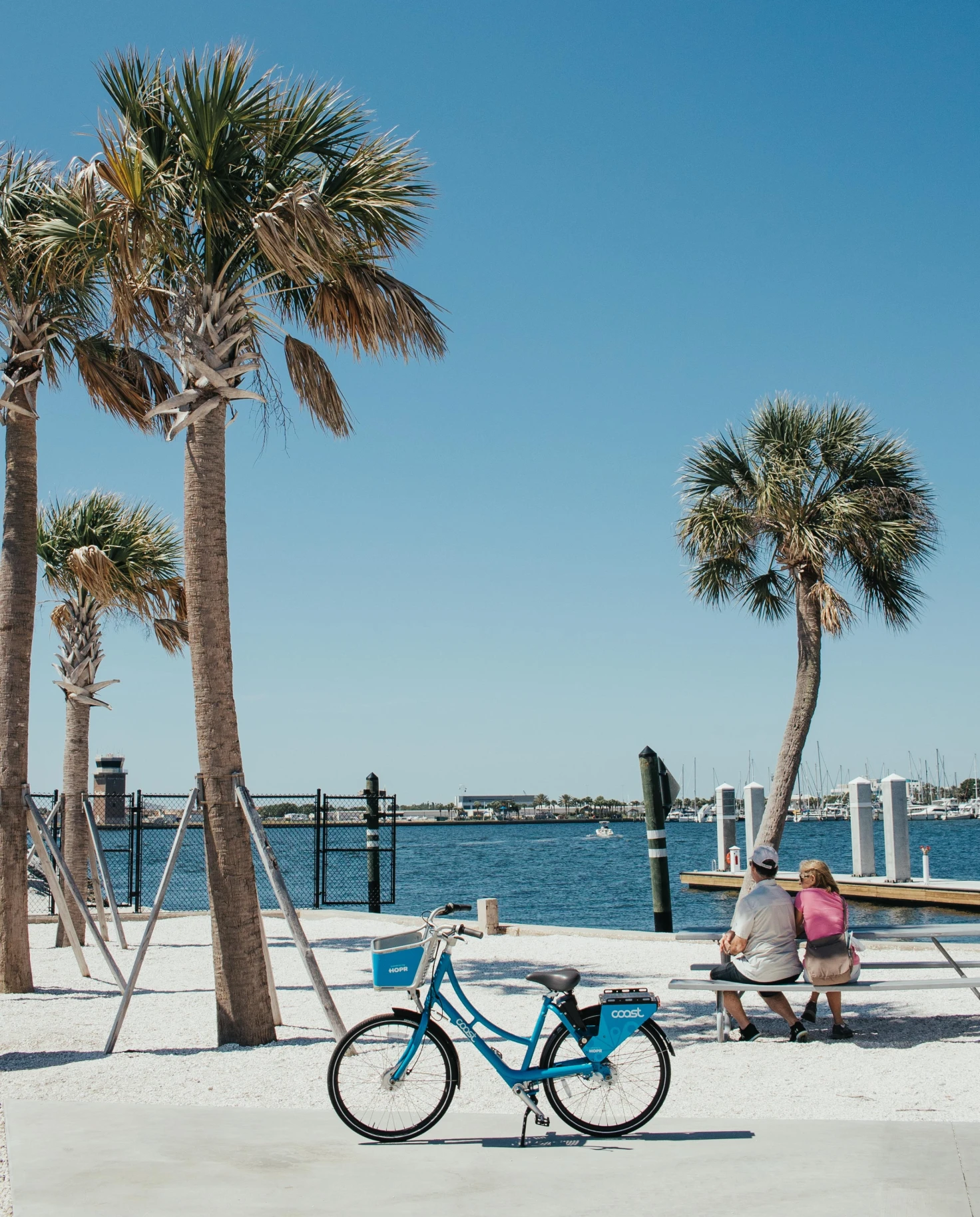 A picture of people on a boardwalk next to palm trees in Tampa.