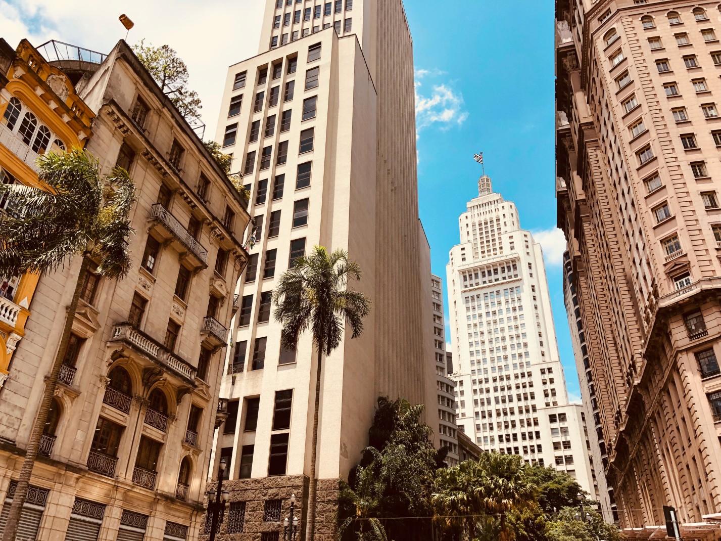 Tall white and brown buildings with green palm trees in São Paulo, Brazil.