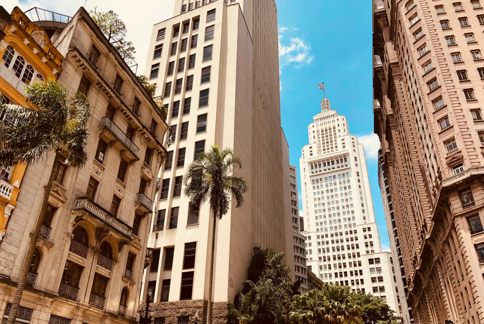 Tall white and brown buildings with green palm trees in São Paulo, Brazil.
