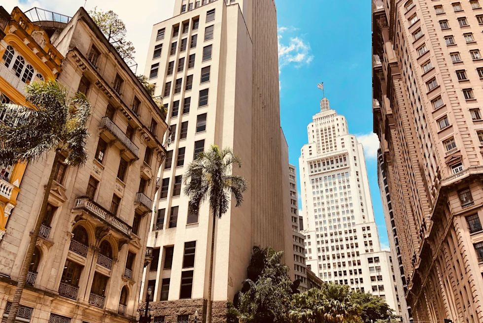 Tall white and brown buildings with green palm trees in São Paulo, Brazil.
