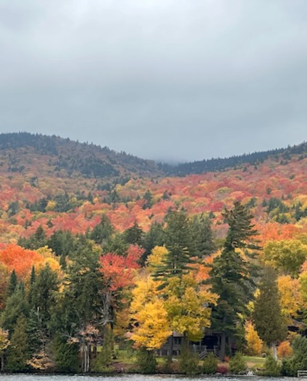 An aerial view of colorful fall trees.