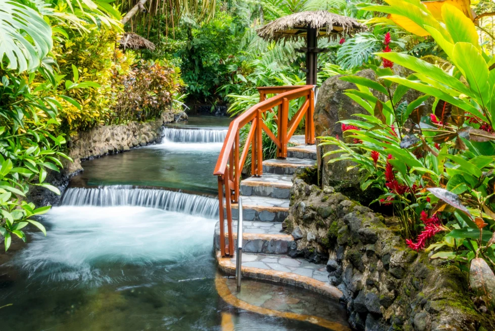 Staircase with waterfall and plants around