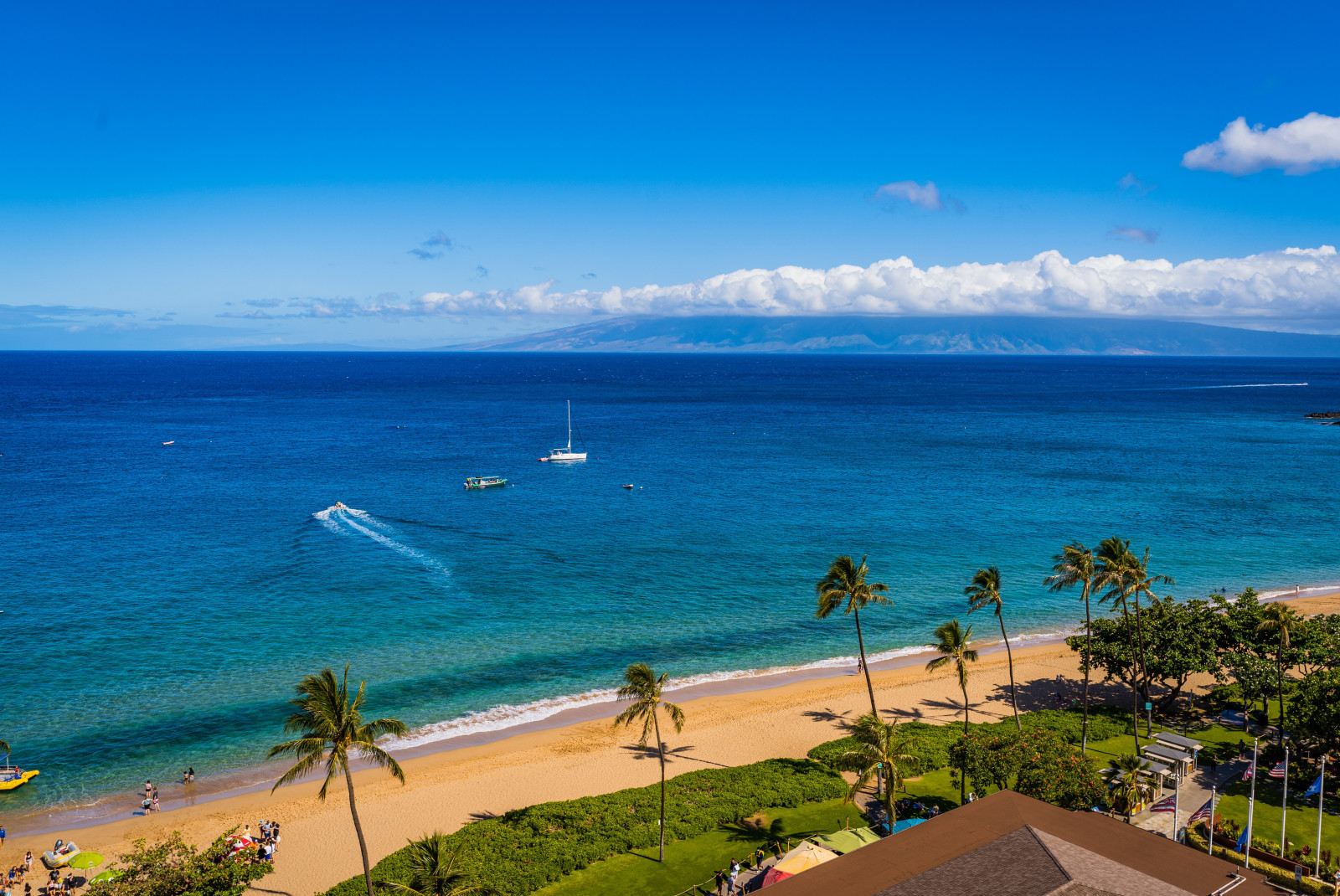 Aerial view of body of water next to beach and palm trees during daytime