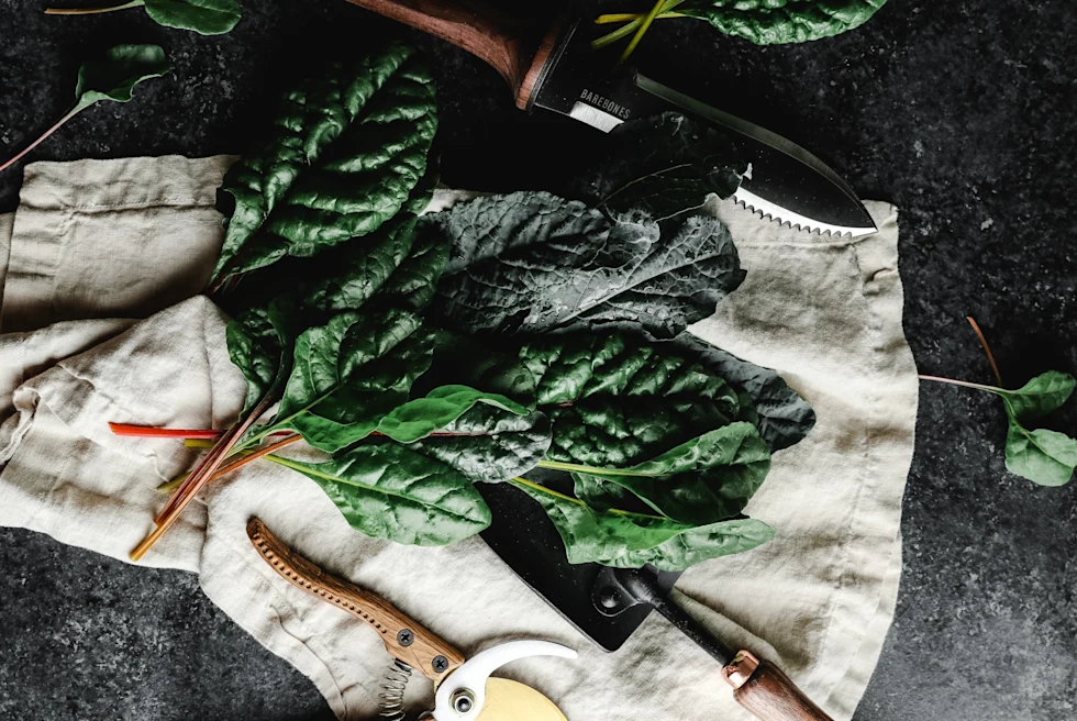 a bunch of dark-green chard on a white cloth