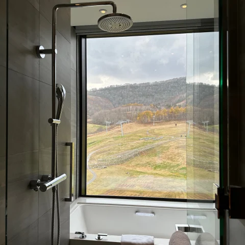 A bathroom at the Park Hyatt Niseko with a shower and view of the countryside with fall foliage