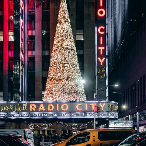 tall tree in lights at nighttime