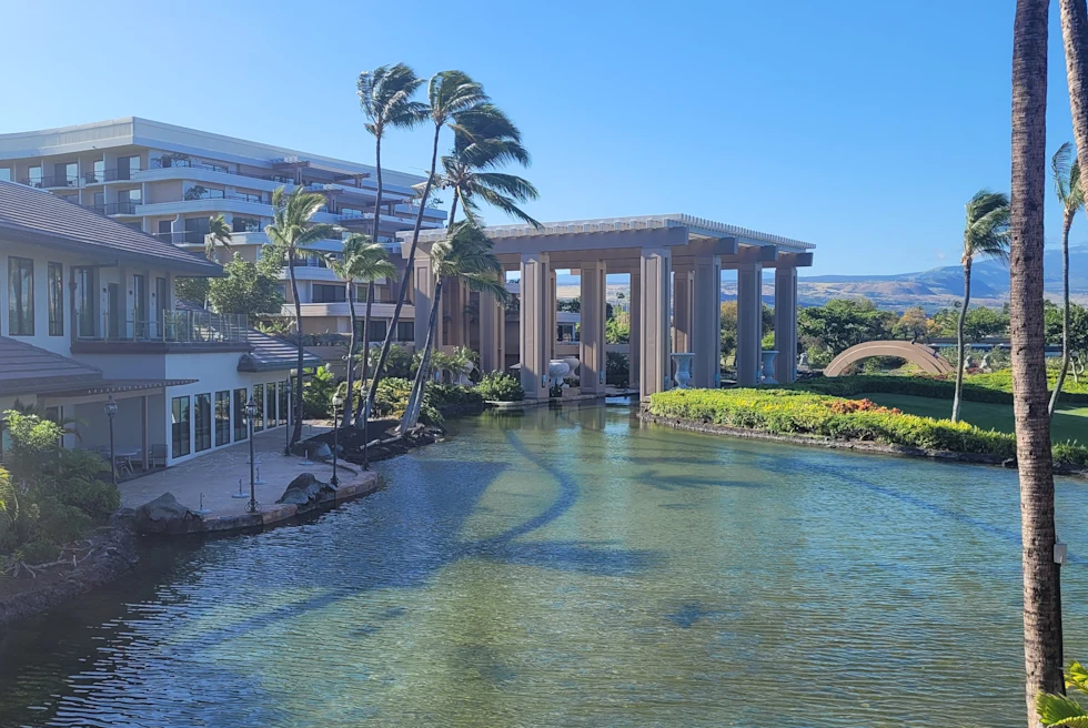 Building next to body of water and palm trees with blue skies during daytime