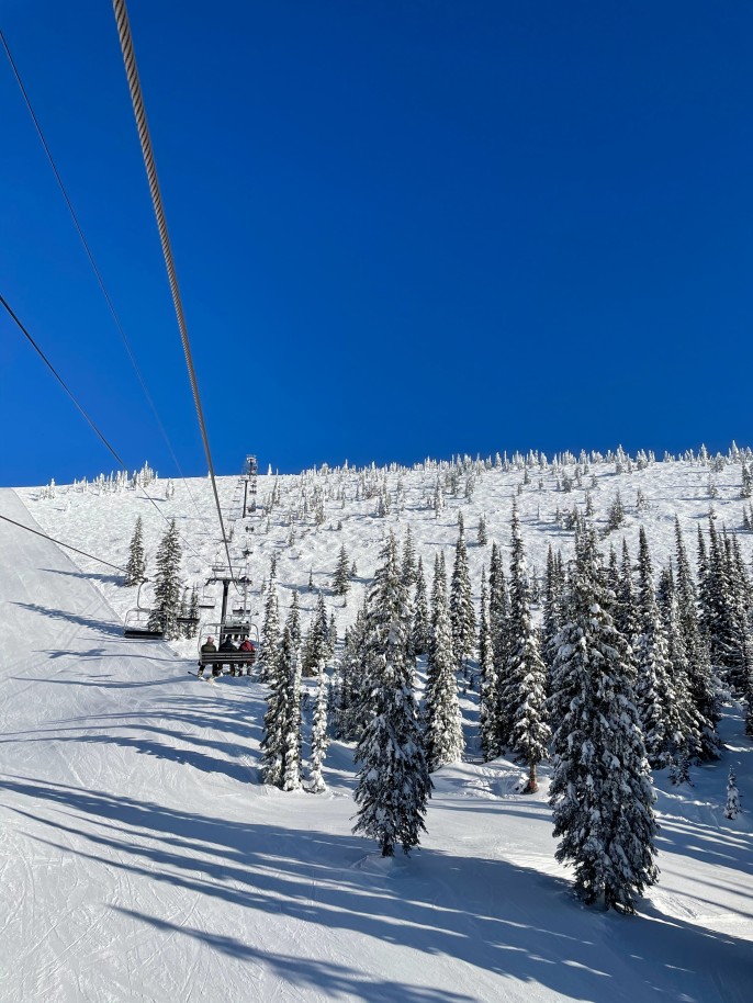 Snow-covered trees next to ski lift with blue skies during daytime