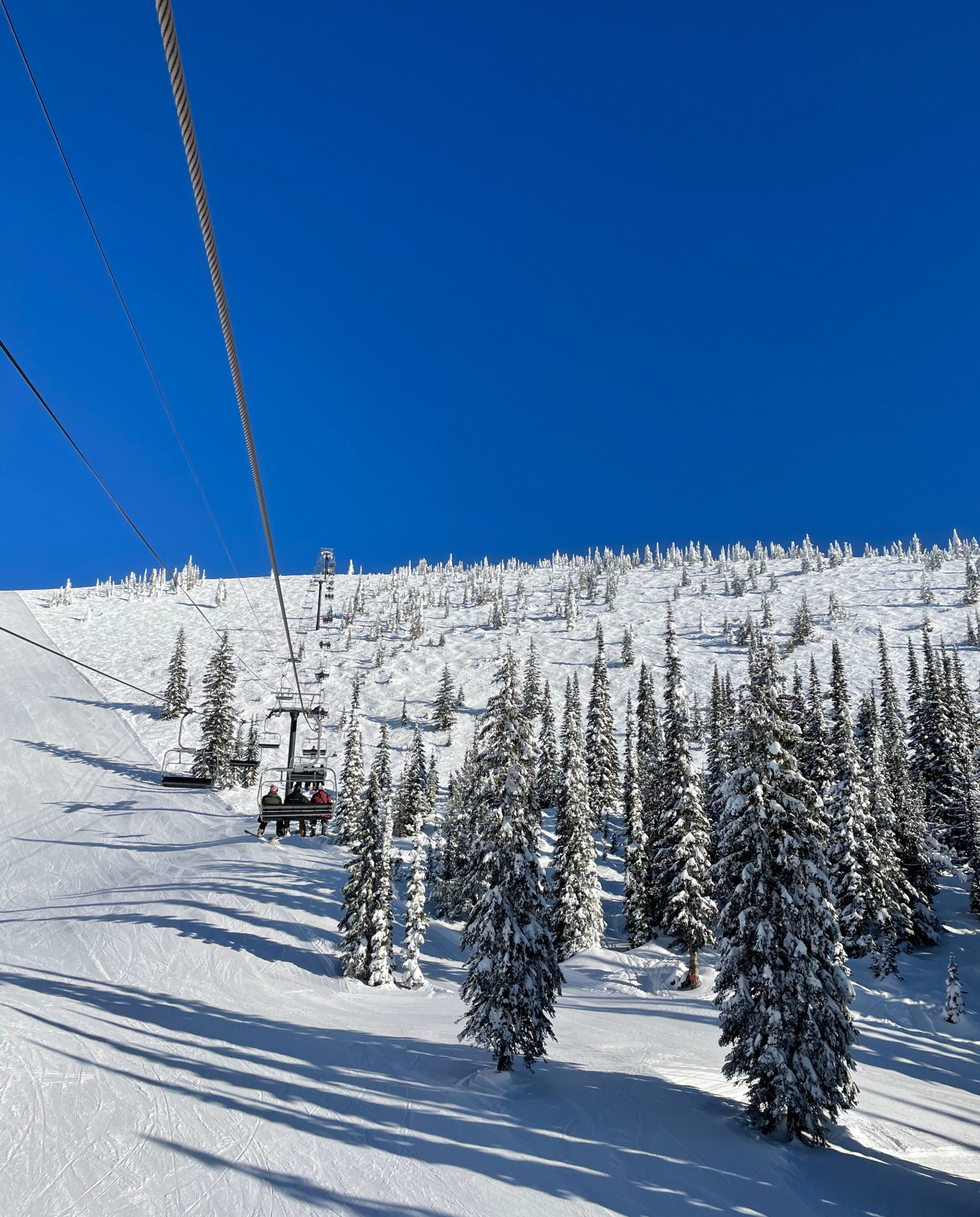 Snow-covered trees next to ski lift with blue skies during daytime