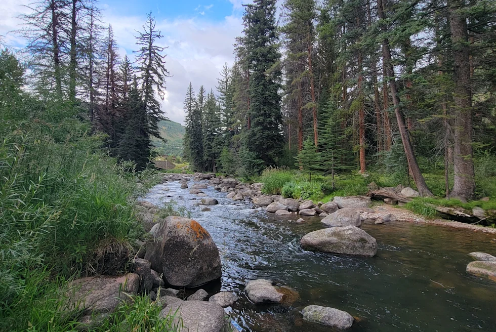 Gore Creek: A pristine mountain stream meandering through Vail, Colorado, providing a picturesque backdrop for outdoor enthusiasts and anglers.