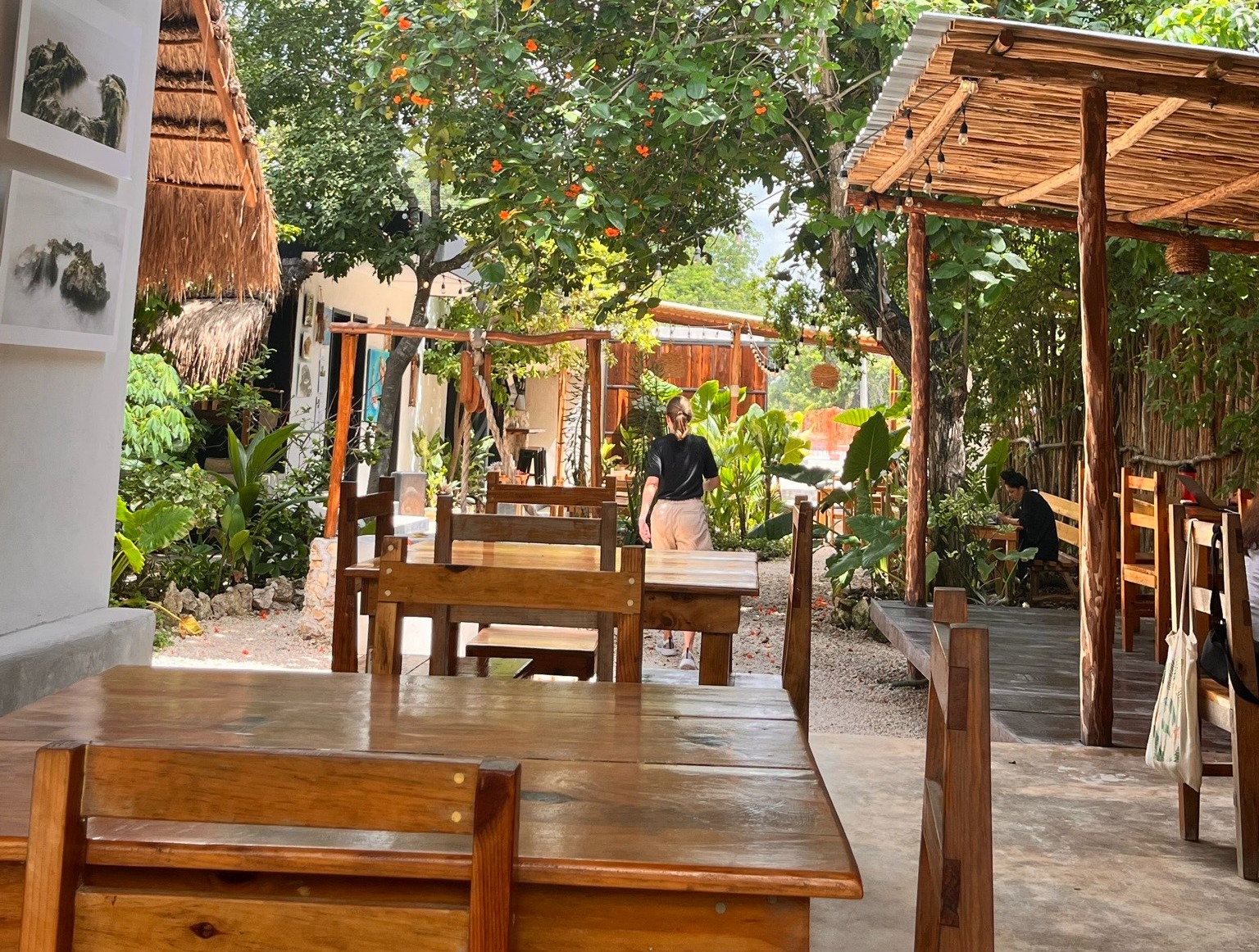 Wooden tables surrounded by trees during daytime