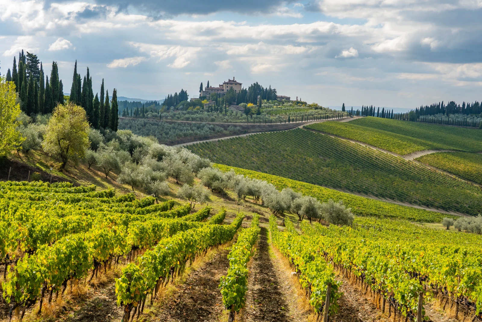 Views over rolling hills of Chianti.