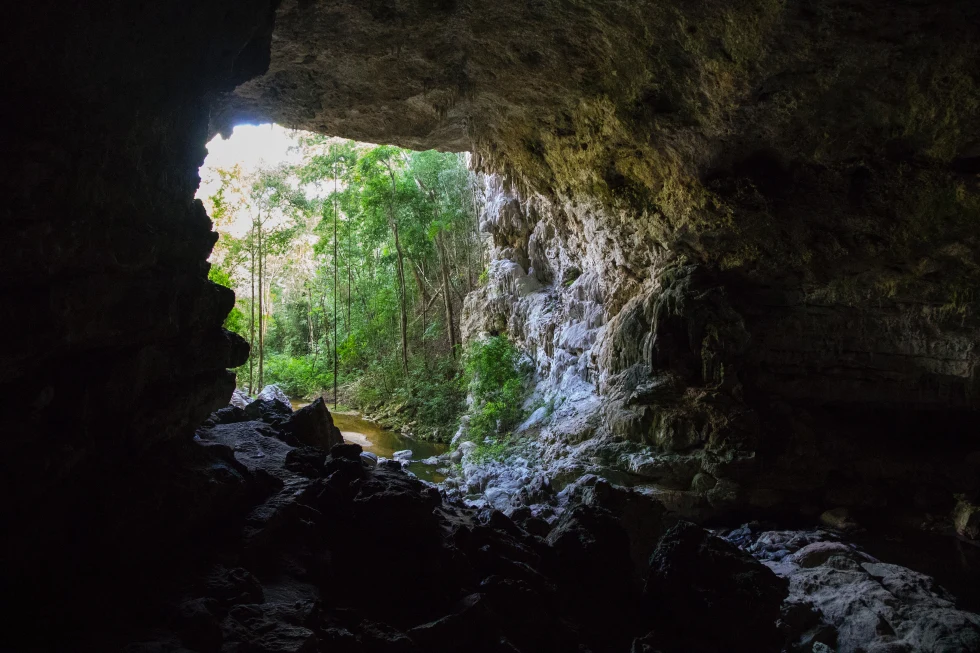 large cave next to trees during daytime; an adventurous activity for a 7-day Belize itinerary 