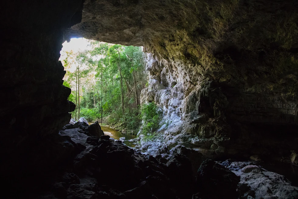 large cave next to trees during daytime; an adventurous activity for a 7-day Belize itinerary